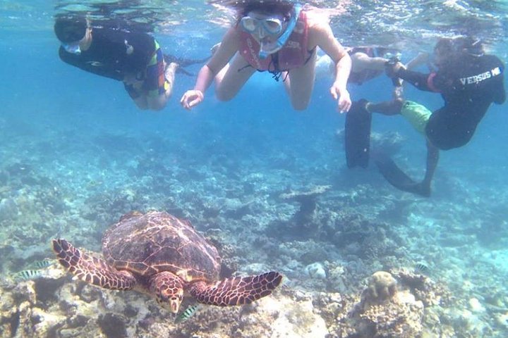 Tour privé de snorkeling et de cascades à Bali, Indonésie, avec le Blue Lagoon et des paysages tropicaux, photo 28 | wizardtrip