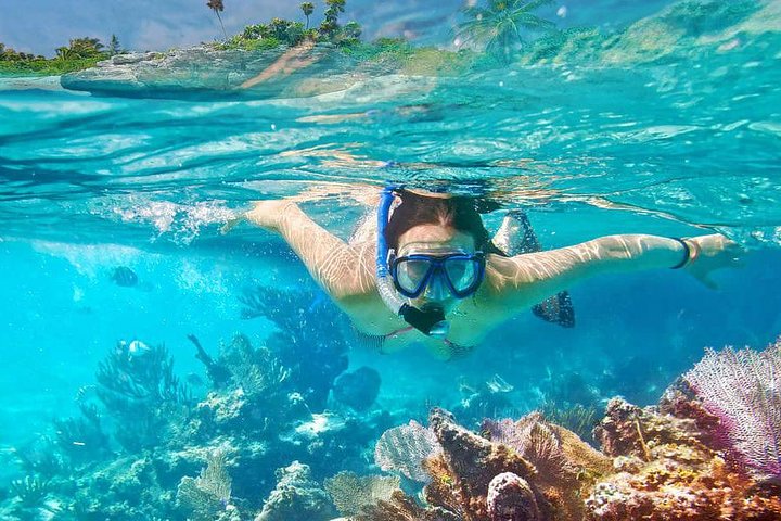 Tour privé de snorkeling et de cascades à Bali, Indonésie, avec le Blue Lagoon et des paysages tropicaux, photo 30 | wizardtrip