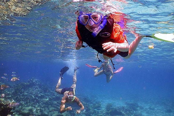 Tour privé de snorkeling et de cascades à Bali, Indonésie, avec le Blue Lagoon et des paysages tropicaux, photo 31 | wizardtrip