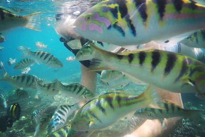 Tour privé de snorkeling et de cascades à Bali, Indonésie, avec le Blue Lagoon et des paysages tropicaux, photo 36 | wizardtrip