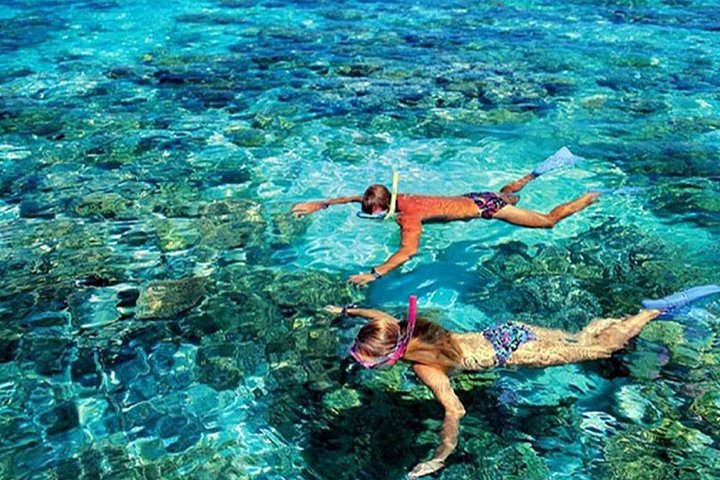 Tour privé de snorkeling et de cascades à Bali, Indonésie, avec le Blue Lagoon et des paysages tropicaux, photo 37 | wizardtrip