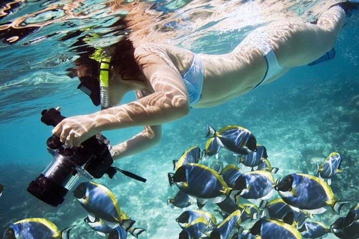 Tour privé de snorkeling et de cascades à Bali, Indonésie, avec le Blue Lagoon et des paysages tropicaux, photo 40 | wizardtrip