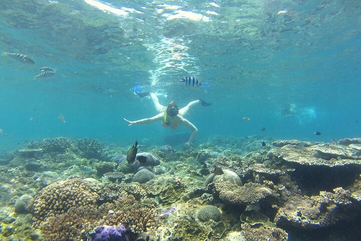 Tour privé de snorkeling et de cascades à Bali, Indonésie, avec le Blue Lagoon et des paysages tropicaux, photo 44 | wizardtrip