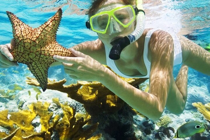 Tour privé de snorkeling et de cascades à Bali, Indonésie, avec le Blue Lagoon et des paysages tropicaux, photo 46 | wizardtrip