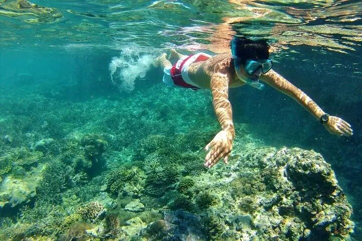 Tour privé de snorkeling et de cascades à Bali, Indonésie, avec le Blue Lagoon et des paysages tropicaux, photo 47 | wizardtrip