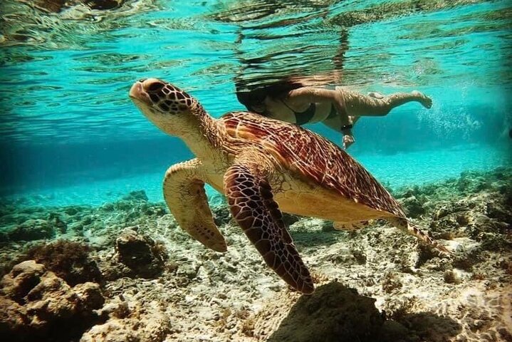 Tour privé de snorkeling et de cascades à Bali, Indonésie, avec le Blue Lagoon et des paysages tropicaux, photo 48 | wizardtrip