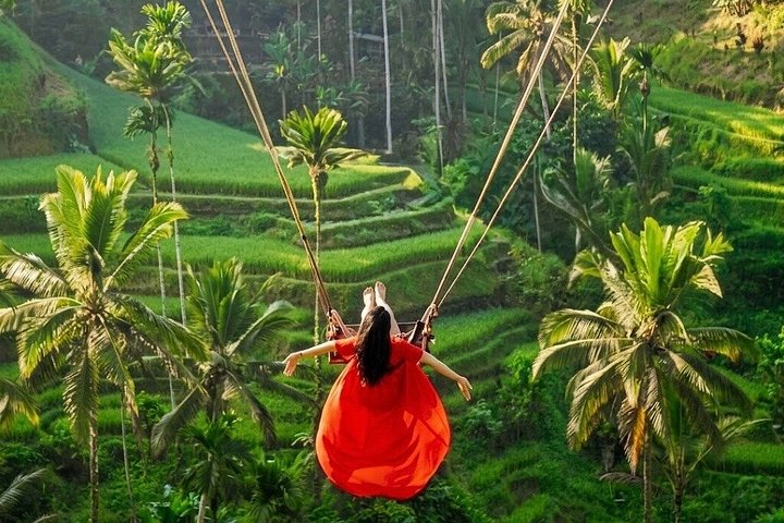 Privé tour langs Ubud's rijstterrassen, tempels, watervallen en Bali swing, foto 6 | wizardtrip