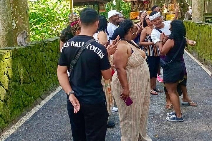 Privé tour langs Ubud's rijstterrassen, tempels, watervallen en Bali swing, foto 8 | wizardtrip
