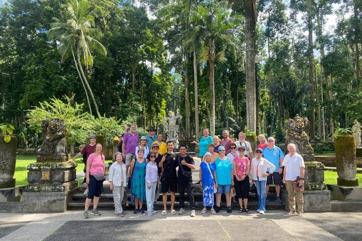 Privé tour langs Ubud's rijstterrassen, tempels, watervallen en Bali swing, foto 13 | wizardtrip