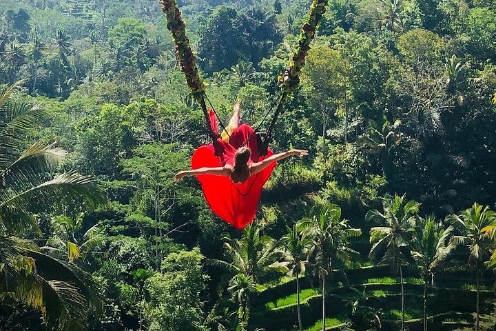 Privé tour langs Ubud's rijstterrassen, tempels, watervallen en Bali swing, foto 14 | wizardtrip