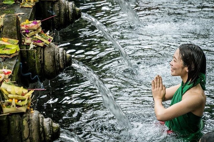 Privé tour langs Ubud's rijstterrassen, tempels, watervallen en Bali swing, foto 16 | wizardtrip
