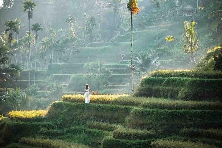 Privé tour langs Ubud's rijstterrassen, tempels, watervallen en Bali swing, foto 17 | wizardtrip