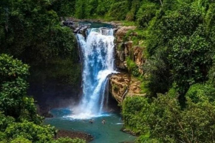 Privé tour langs Ubud's rijstterrassen, tempels, watervallen en Bali swing, foto 18 | wizardtrip