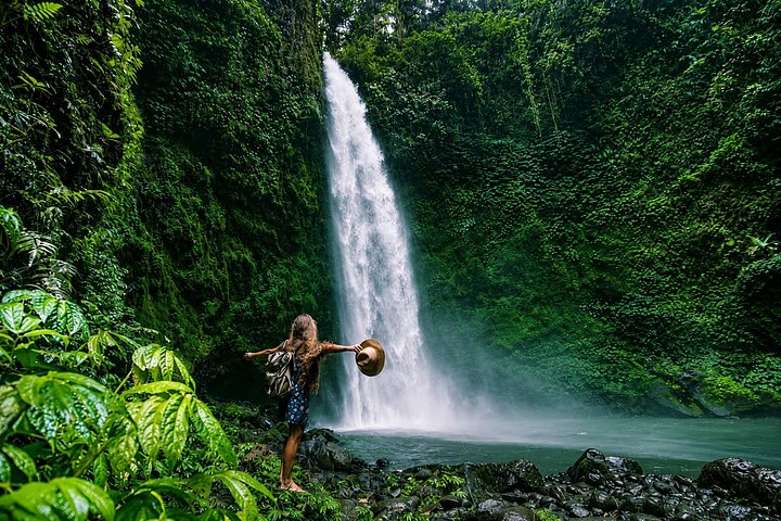 Privé tour langs Ubud's rijstterrassen, tempels, watervallen en Bali swing, foto 20 | wizardtrip