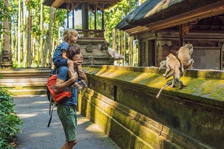Privé tour langs Ubud's rijstterrassen, tempels, watervallen en Bali swing, foto 21 | wizardtrip