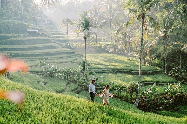 Privé tour langs Ubud's rijstterrassen, tempels, watervallen en Bali swing, foto 22 | wizardtrip