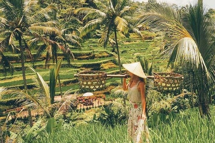 Privé tour langs Ubud's rijstterrassen, tempels, watervallen en Bali swing, foto 26 | wizardtrip