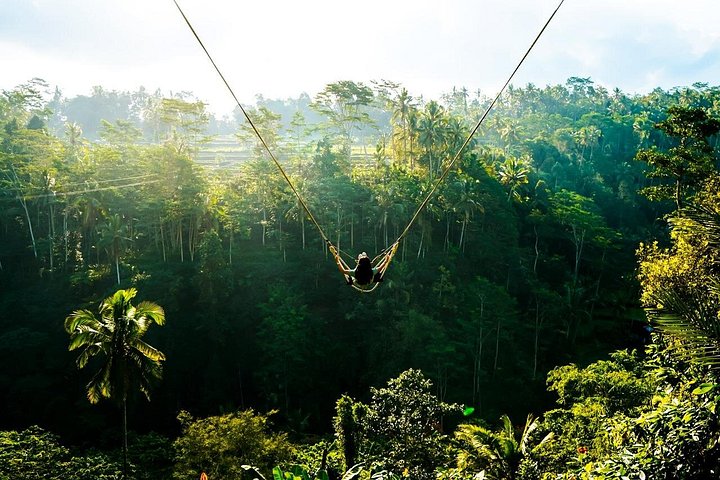 Privé tour langs Ubud's rijstterrassen, tempels, watervallen en Bali swing, foto 28 | wizardtrip