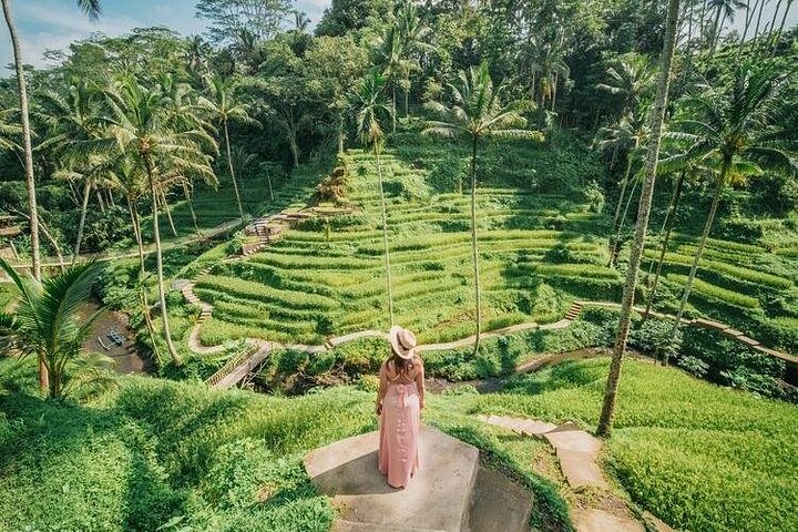 Privé tour langs Ubud's rijstterrassen, tempels, watervallen en Bali swing, foto 29 | wizardtrip