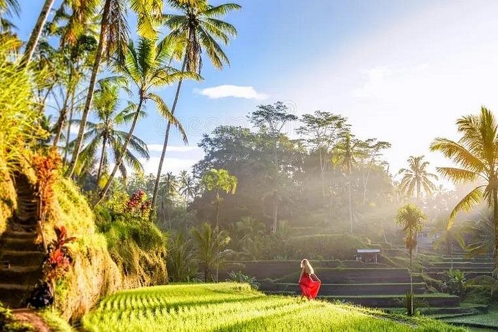 Privé tour langs Ubud's rijstterrassen, tempels, watervallen en Bali swing, foto 30 | wizardtrip