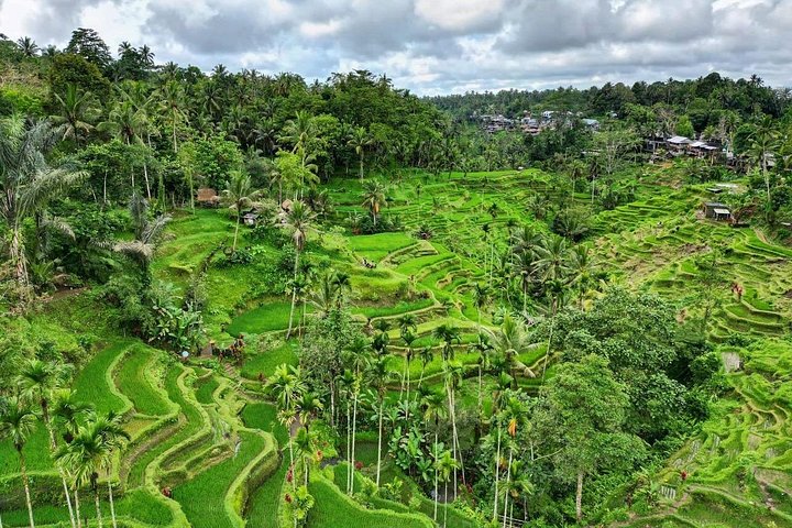 Privé tour langs Ubud's rijstterrassen, tempels, watervallen en Bali swing, foto 32 | wizardtrip