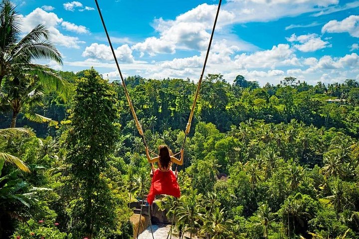 Privé tour langs Ubud's rijstterrassen, tempels, watervallen en Bali swing, foto 39 | wizardtrip