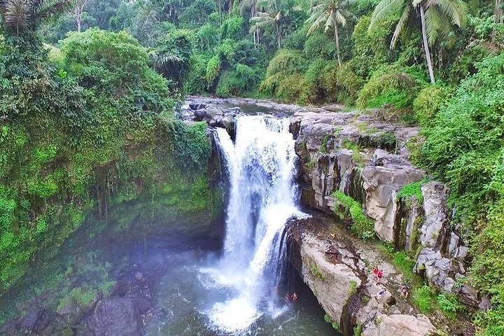 Privé tour langs Ubud's rijstterrassen, tempels, watervallen en Bali swing, foto 41 | wizardtrip