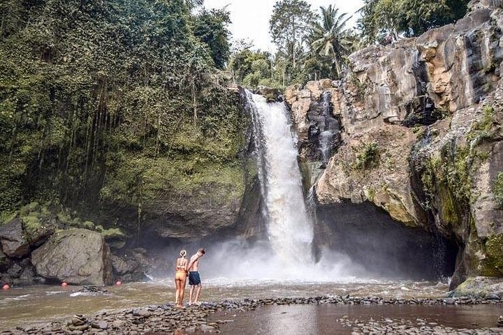 Privé tour langs Ubud's rijstterrassen, tempels, watervallen en Bali swing, foto 43 | wizardtrip