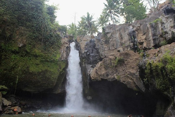 Privé tour langs Ubud's rijstterrassen, tempels, watervallen en Bali swing, foto 44 | wizardtrip