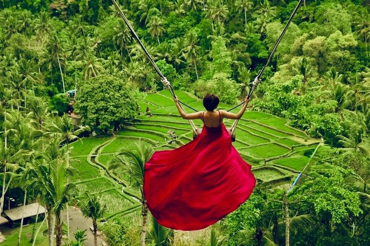 Ubud: Monkey Forest, Jungle Swing, Rice Terrace and Water Temple | wizardtrip