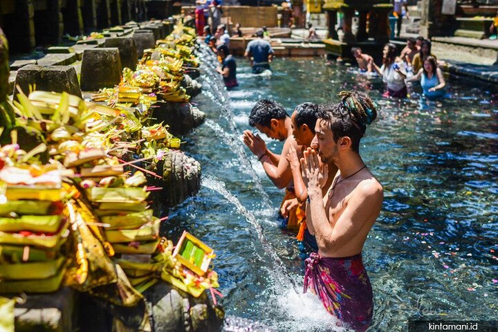 Private Tour erkundet den Affenwald, Dschungelschaukeln, Reisterrassen und Wassertempel von Ubud auf Bali, Foto 6 | wizardtrip