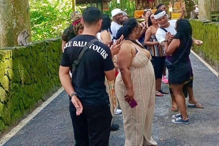 Private Tour erkundet den Affenwald, Dschungelschaukeln, Reisterrassen und Wassertempel von Ubud auf Bali, Foto 9 | wizardtrip