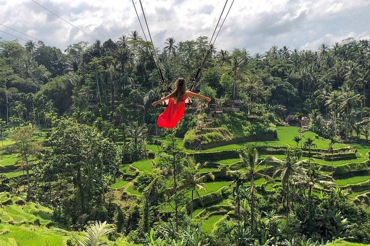Private Tour erkundet den Affenwald, Dschungelschaukeln, Reisterrassen und Wassertempel von Ubud auf Bali, Foto 10 | wizardtrip