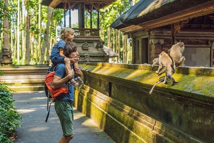 Private Tour erkundet den Affenwald, Dschungelschaukeln, Reisterrassen und Wassertempel von Ubud auf Bali, Foto 13 | wizardtrip