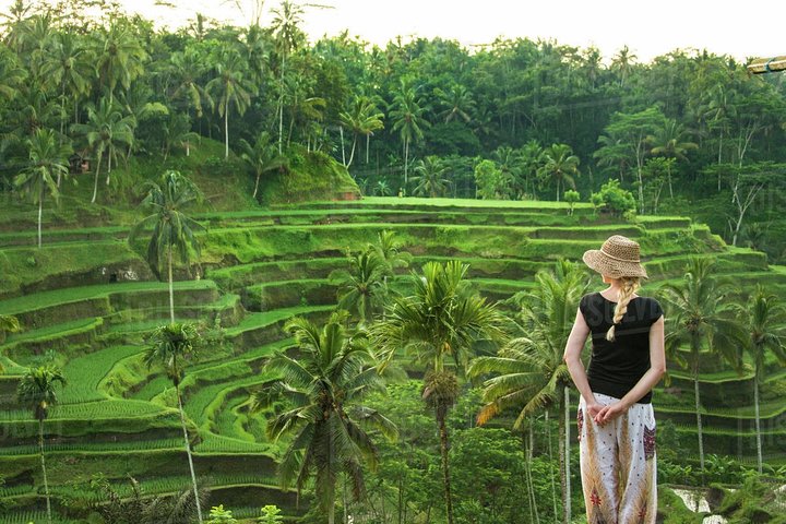 Private Tour erkundet den Affenwald, Dschungelschaukeln, Reisterrassen und Wassertempel von Ubud auf Bali, Foto 14 | wizardtrip