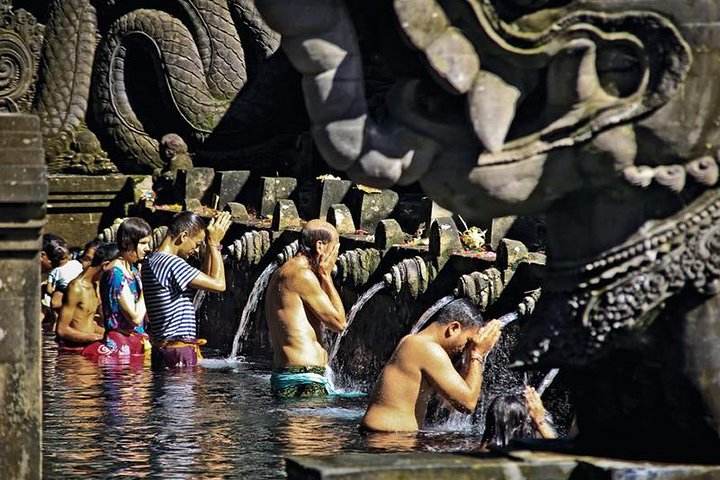 Private Tour erkundet den Affenwald, Dschungelschaukeln, Reisterrassen und Wassertempel von Ubud auf Bali, Foto 15 | wizardtrip