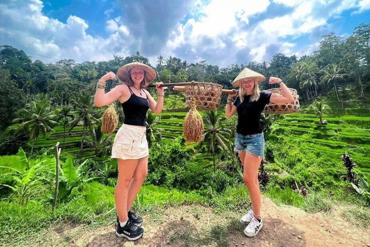 Private Tour erkundet den Affenwald, Dschungelschaukeln, Reisterrassen und Wassertempel von Ubud auf Bali, Foto 16 | wizardtrip