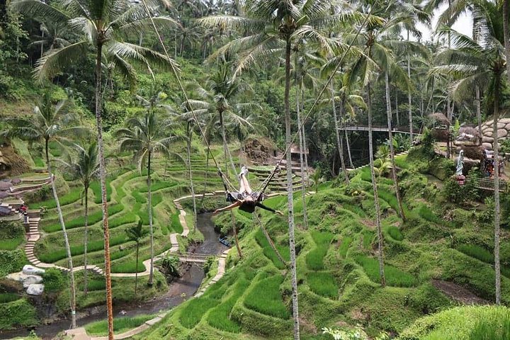 Private Tour erkundet den Affenwald, Dschungelschaukeln, Reisterrassen und Wassertempel von Ubud auf Bali, Foto 20 | wizardtrip