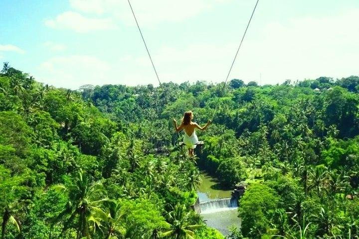 Private Tour erkundet den Affenwald, Dschungelschaukeln, Reisterrassen und Wassertempel von Ubud auf Bali, Foto 21 | wizardtrip