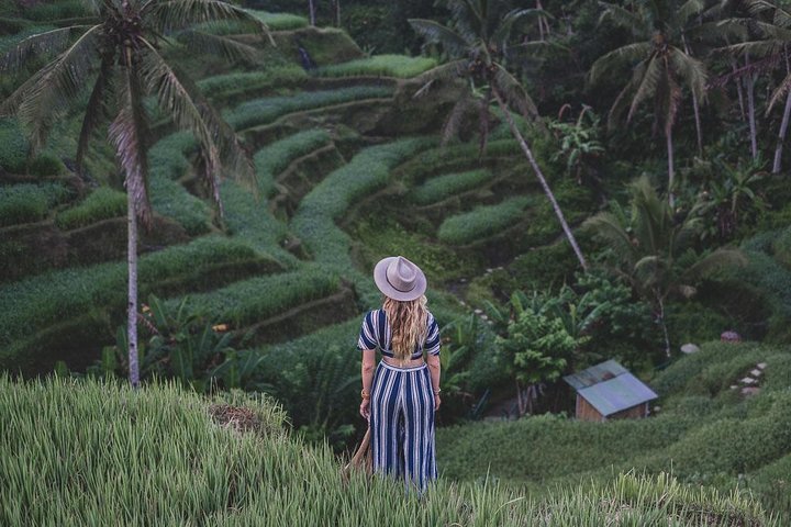 Private Tour erkundet den Affenwald, Dschungelschaukeln, Reisterrassen und Wassertempel von Ubud auf Bali, Foto 23 | wizardtrip
