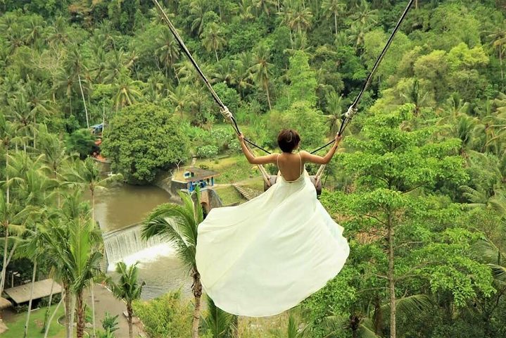 Private Tour erkundet den Affenwald, Dschungelschaukeln, Reisterrassen und Wassertempel von Ubud auf Bali, Foto 24 | wizardtrip