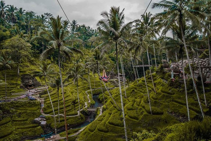 Private Tour erkundet den Affenwald, Dschungelschaukeln, Reisterrassen und Wassertempel von Ubud auf Bali, Foto 28 | wizardtrip