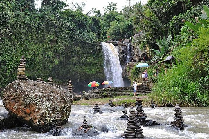 Private Tour erkundet den Affenwald, Dschungelschaukeln, Reisterrassen und Wassertempel von Ubud auf Bali, Foto 29 | wizardtrip