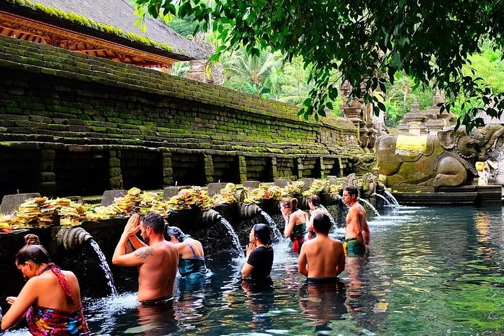 Private Tour erkundet den Affenwald, Dschungelschaukeln, Reisterrassen und Wassertempel von Ubud auf Bali, Foto 31 | wizardtrip