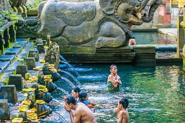 Private Tour erkundet den Affenwald, Dschungelschaukeln, Reisterrassen und Wassertempel von Ubud auf Bali, Foto 32 | wizardtrip