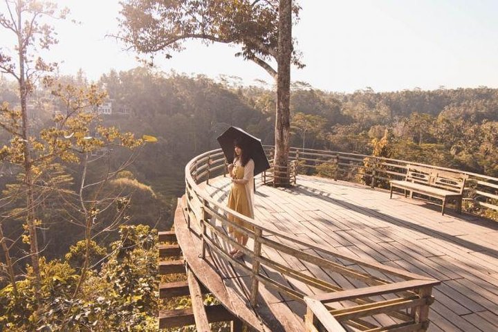 Private Tour erkundet den Affenwald, Dschungelschaukeln, Reisterrassen und Wassertempel von Ubud auf Bali, Foto 34 | wizardtrip