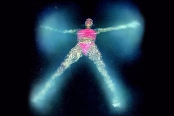 Plongée de nuit en bioluminescence | wizardtrip