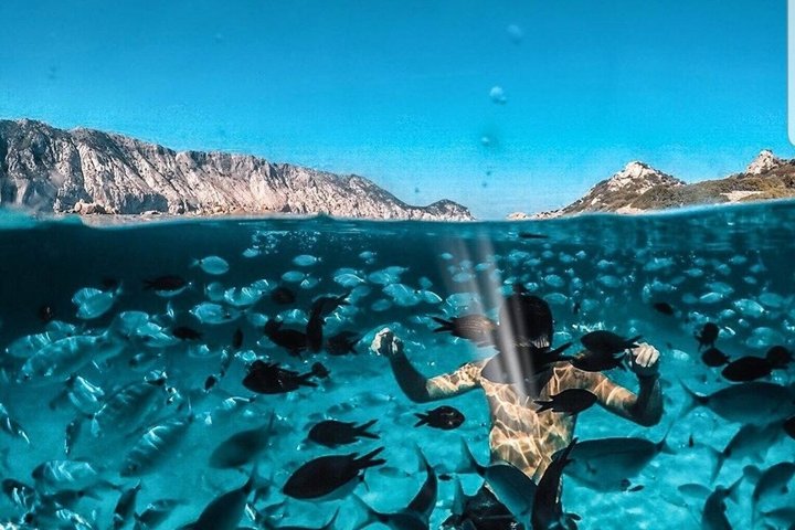 Båttur och snorklingsäventyr i det marina skyddsområdet Tavolara, Sardinien, foto 6 | wizardtrip