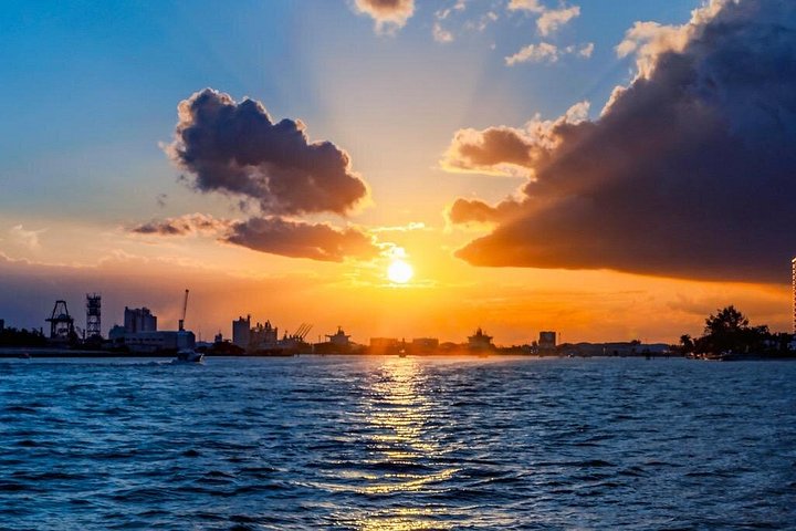 Goditi una panoramica crociera in catamarano al tramonto lungo la costa di Fort Lauderdale, ammirando ville e l'oceano, foto 8 | wizardtrip