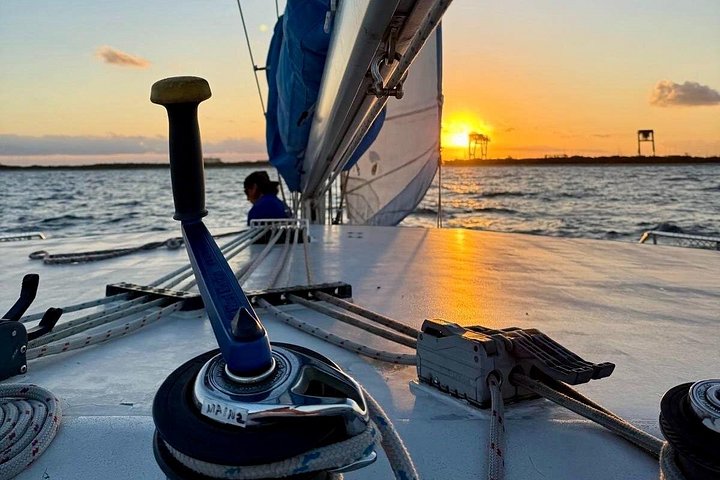 Goditi una panoramica crociera in catamarano al tramonto lungo la costa di Fort Lauderdale, ammirando ville e l'oceano, foto 10 | wizardtrip